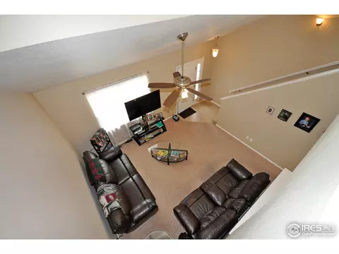 609 Botley Dr, Windsor, CO 80550 photo 12