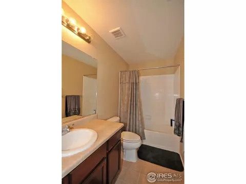 609 Botley Dr, Windsor, CO 80550 photo 21