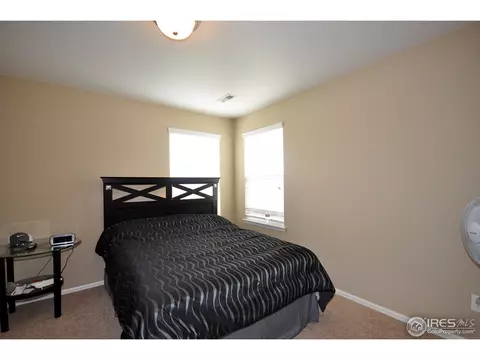 609 Botley Dr, Windsor, CO 80550 photo 19