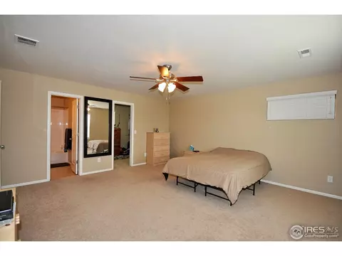 609 Botley Dr, Windsor, CO 80550 photo 16