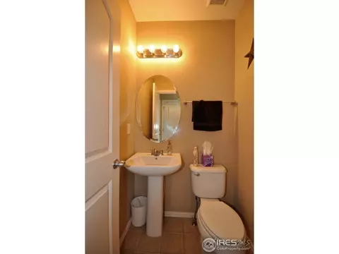 609 Botley Dr, Windsor, CO 80550 photo 10