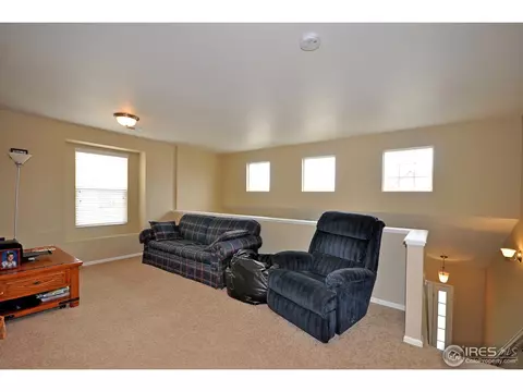 609 Botley Dr, Windsor, CO 80550 photo 14