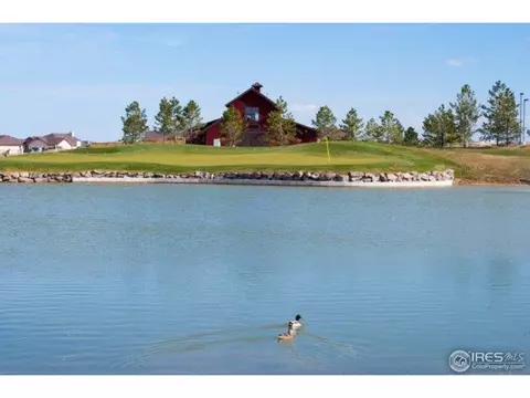 5718 Aksarben Dr, Windsor, CO 80550 photo 24