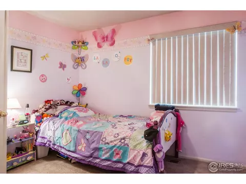 3845 E 139th Pl, Thornton, CO 80602 photo 9