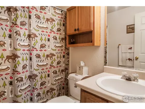 3845 E 139th Pl, Thornton, CO 80602 photo 10