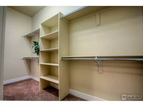 1511 Sandy Ln, Windsor, CO 80550 photo 15
