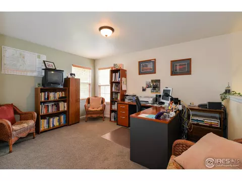 133 Bayside Cir, Windsor, CO 80550 photo 20