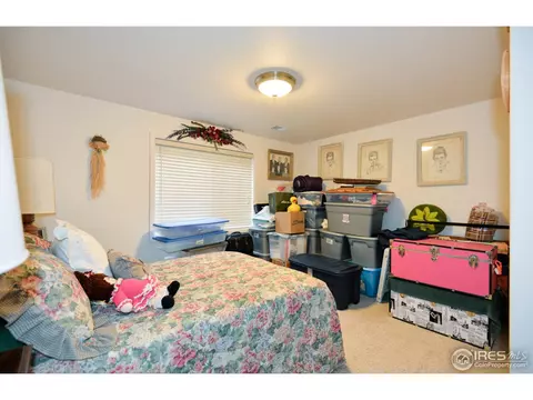 133 Bayside Cir, Windsor, CO 80550 photo 21