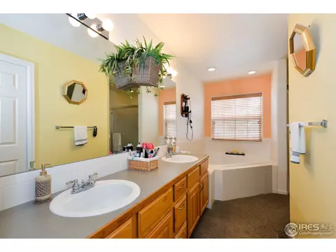 133 Bayside Cir, Windsor, CO 80550 photo 17