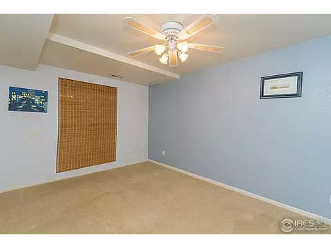 230 13th St, Windsor, CO 80550 photo 16