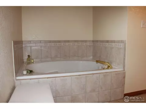 230 13th St, Windsor, CO 80550 photo 10