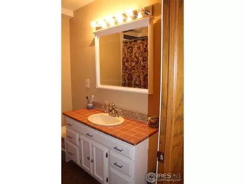 230 13th St, Windsor, CO 80550 photo 18