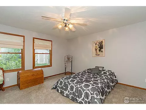 230 13th St, Windsor, CO 80550 photo 11