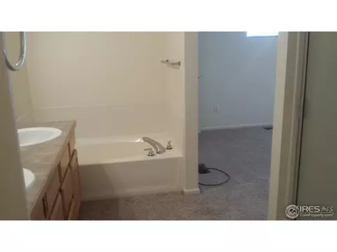 149 Bayside Cir, Windsor, CO 80550 photo 6