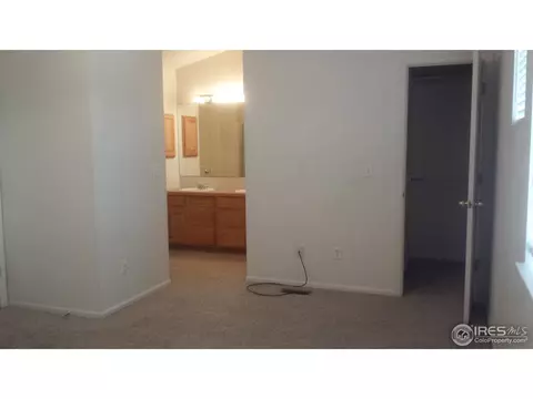 149 Bayside Cir, Windsor, CO 80550 photo 4