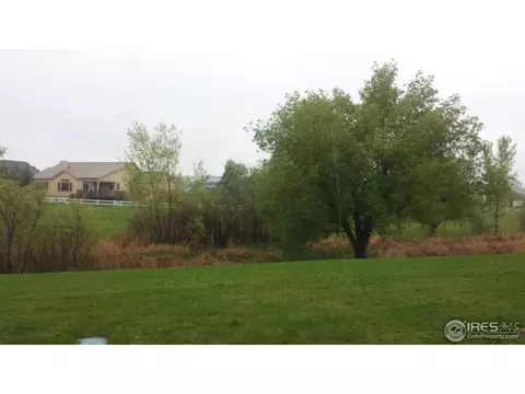 149 Bayside Cir, Windsor, CO 80550 photo 8