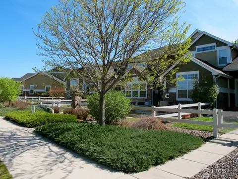 149 Bayside Cir, Windsor, CO 80550 photo 1