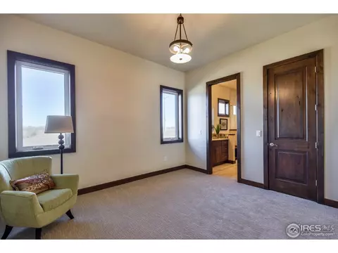 6916 Summerwind Ct, Timnath, CO 80547 photo 19