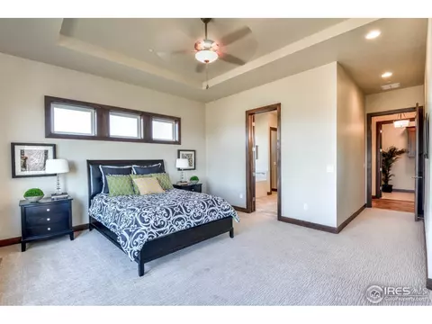 6916 Summerwind Ct, Timnath, CO 80547 photo 14
