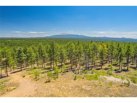 1 County Road 51, Florissant, CO 80816