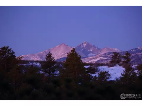 409 Gunn Ave, Berthoud, CO 80513 photo 14