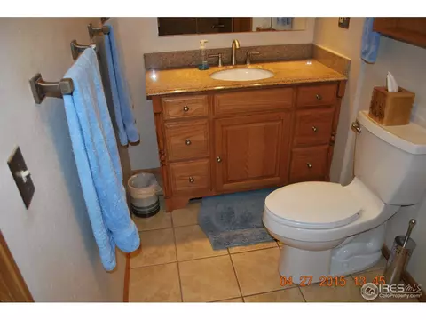 1060 Pinyon Dr, Windsor, CO 80550 photo 21