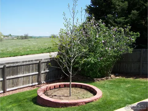 601 Munson Ct, Berthoud, CO 80513 photo 20