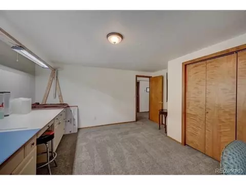 255 Pinehurst Dr, Monument, CO 80132 photo 24
