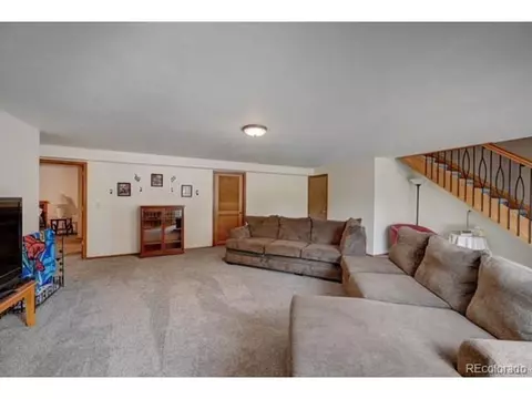 255 Pinehurst Dr, Monument, CO 80132 photo 22
