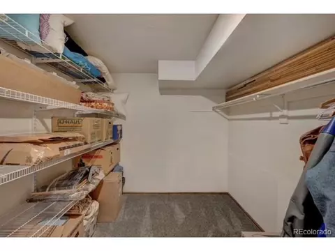 255 Pinehurst Dr, Monument, CO 80132 photo 27
