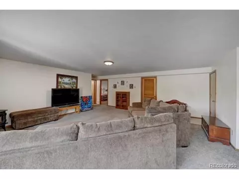 255 Pinehurst Dr, Monument, CO 80132 photo 21