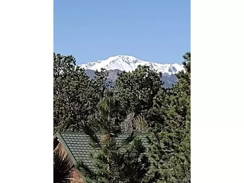 255 Pinehurst Dr, Monument, CO 80132 photo 36