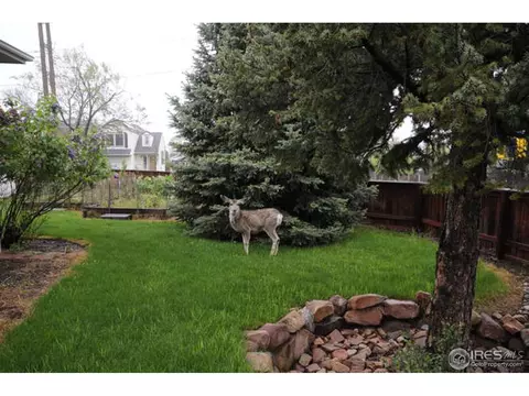 1192 Quince Ave, Boulder, CO 80304 photo 25