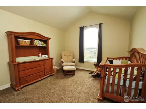 6126 Chesney Ct, Windsor, CO 80550 photo 17