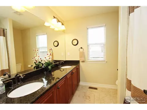 6126 Chesney Ct, Windsor, CO 80550 photo 19