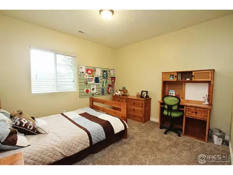 6126 Chesney Ct, Windsor, CO 80550 photo 22