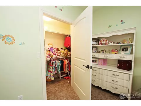 6126 Chesney Ct, Windsor, CO 80550 photo 21