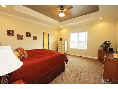 6126 Chesney Ct, Windsor, CO 80550 photo 10