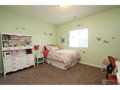 6126 Chesney Ct, Windsor, CO 80550 photo 20