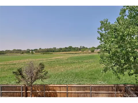 10133 Eudora Ct, Thornton, CO 80229 photo 31