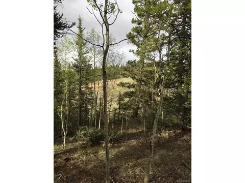552 Apache Trl, Como, CO 80432 photo 14