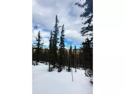 552 Apache Trl, Como, CO 80432 photo 4