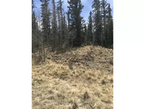 552 Apache Trl, Como, CO 80432 photo 8