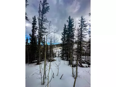 552 Apache Trl, Como, CO 80432 photo 5