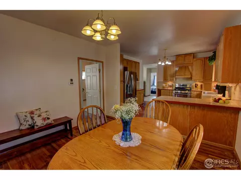 309 Dunmire St, Frederick, CO 80530 photo 10