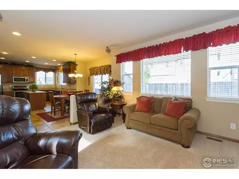 610 Colney Ct, Windsor, CO 80550 photo 6