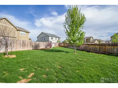 610 Colney Ct, Windsor, CO 80550 photo 24