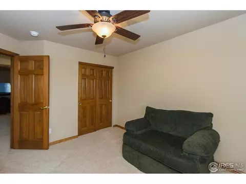 610 Colney Ct, Windsor, CO 80550 photo 21