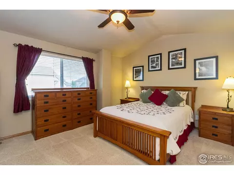 610 Colney Ct, Windsor, CO 80550 photo 14