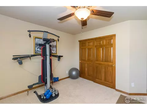 610 Colney Ct, Windsor, CO 80550 photo 23